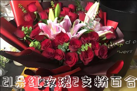 漯河舞阳县花店